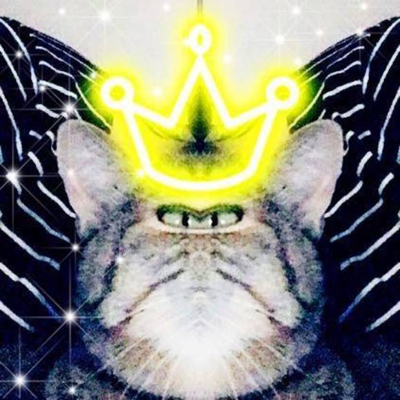 Meet your Posher, Good - Picture 1 of 1